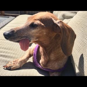 Meet your Posher, Michelle